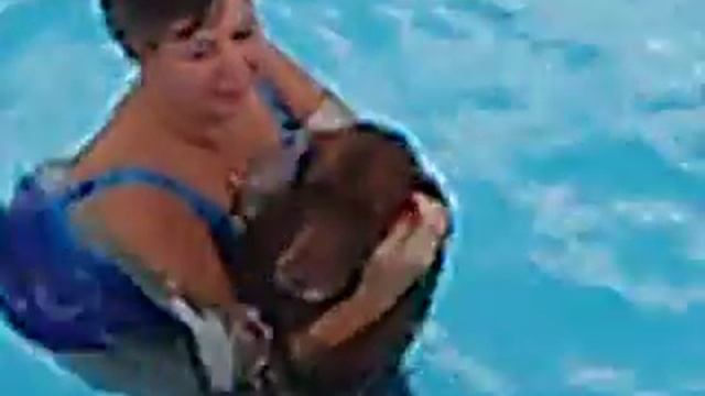 Jasmine 8-2005 смотреть онлайн