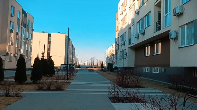 ЗНАКОМСТВО КОТОВ ЧИПА и ЧЕСТЕРА / прогулка с котом смотреть онлайн