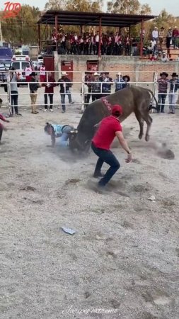 Vaya qué monta dramática 😱🐂🇲🇽 #jaripeo