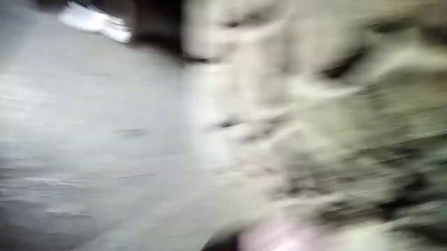 в Лукаморе смотреть онлайн