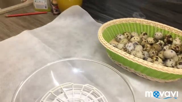 Обзор по весу двух недельных перепелят . смотреть онлайн