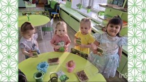 Посадка микрозелени в группе "Дружная семейка"