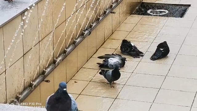 Асбест 15 августа 2020г смотреть онлайн