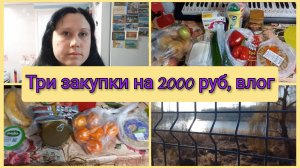Три закупки на 2000 руб, Краснодарский край, влог 11-12 февраля 2025