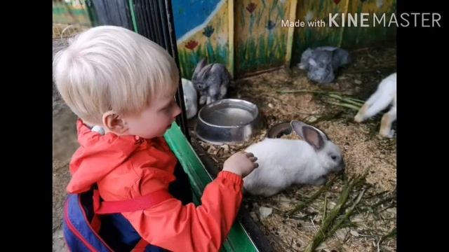 Баранов Кирилл МКДОУ дс Елочка