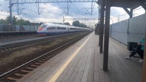 сапсан на станции Молжаниново
