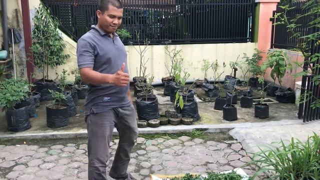 Cara Membuat Hay dari Daun Kelor Untuk Pakan Kelinci || Mudah, Murah dan Praktis смотреть онлайн