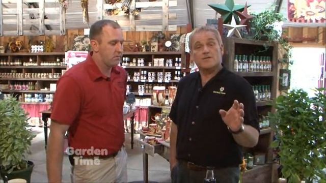 Bauman Corn and Tomato Recipe смотреть онлайн