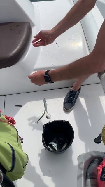 Рыбалка на Черном море смотреть онлайн