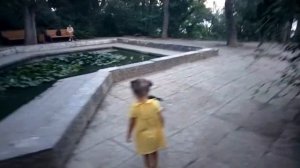 На ребенка напала ворона😱