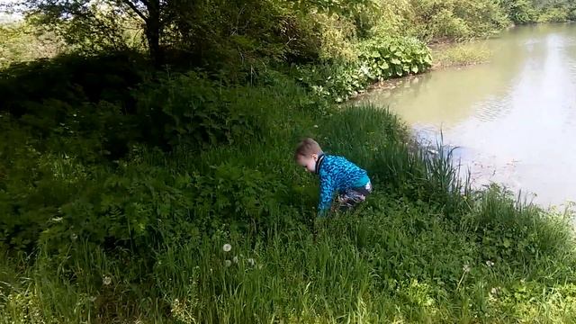 Макс и змея смотреть онлайн