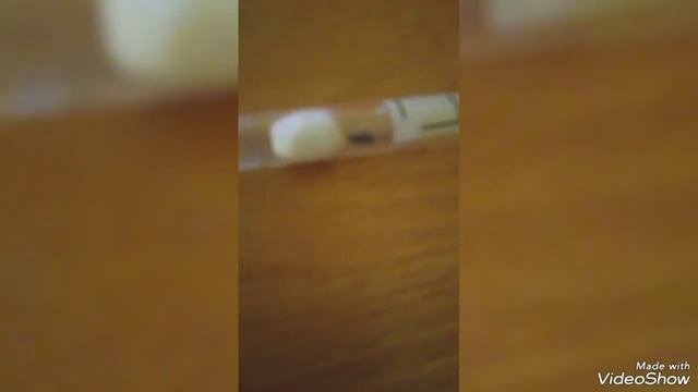 Муравьиные новости! Зимовка serviformica rufibarbis. смотреть онлайн