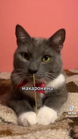 1000145947.mp4