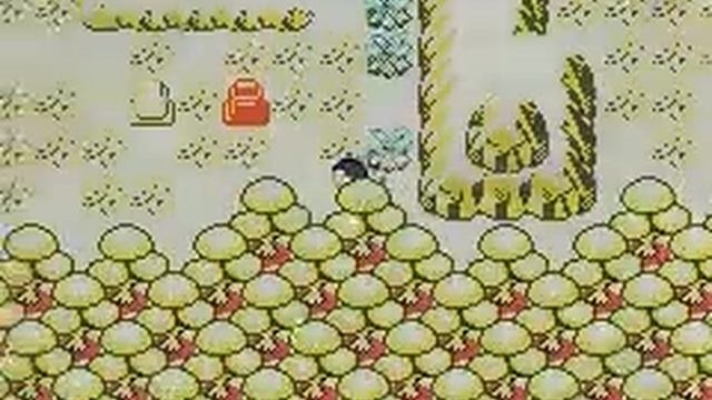 Lets Play Pokemon Quartz 32: I aint afraid of no ghost!
