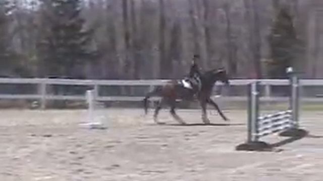 Mk and Beluga смотреть онлайн