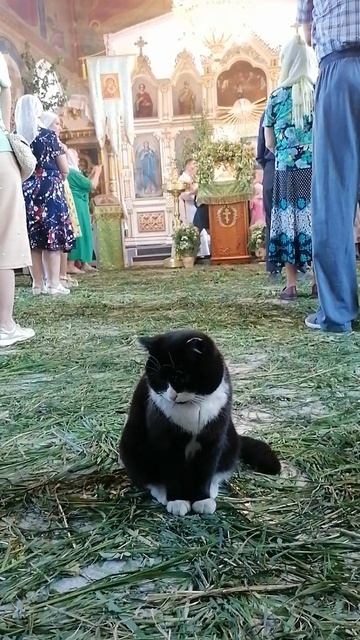 С Днём Святой Троицы 🙏 смотреть онлайн