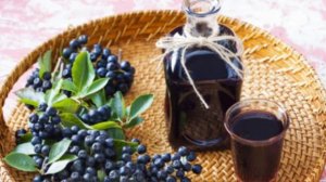 Рябина чёрная.Сл. и муз. А. Куряев. Поёт Н. Соколова.