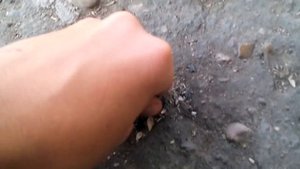 как собрать быстро и легко магнитный песок!