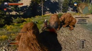 Размножение медведей делением