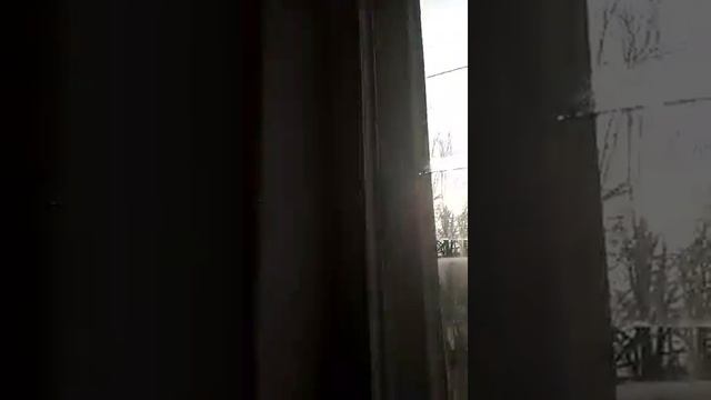 Теоретический лицей им. Штефана чел Маре. 08.02.2019 смотреть онлайн