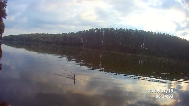 Fly fishing.  Крокодил не ловится ...