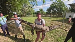 КУБИНСКИЕ ЗАМЕТКИ ПУТЕШЕСТВЕННИКА ПРО КРОКОДИЛОВ