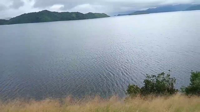 Alligator Island over looking