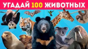 УГАДАЙ 100 ЖИВОТНЫХ 💯🐄🦥🐘🐅/ УГАДАЙ ЖИВОТНОЕ ЗА 3 СЕКУНДЫ