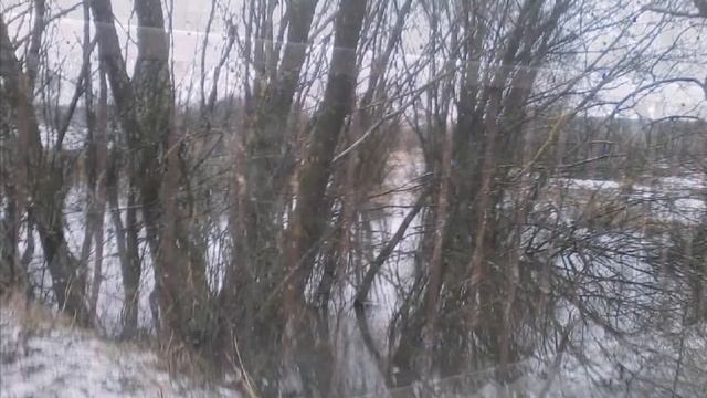 Декабрьский дождь смотреть онлайн