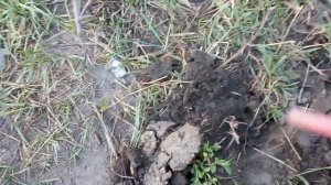 Ими тут сорили!!! Коп на городском пляже.