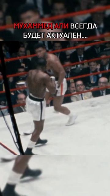 Мухаммед Али никогда не перестанет быть актуальным. #muhammadali #бокс #recommended #мухаммедали
