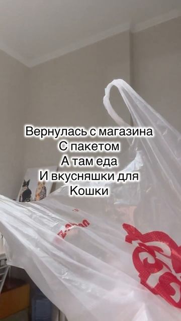 А как часто покупаете вкусняшки вы? #shortvideo #cat #котик #кошкавдоме #кот #catlover #кошки #кот смотреть онлайн