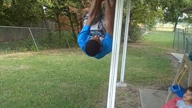 I'm a Koala! смотреть онлайн