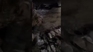 Охота на уток в Казахстане