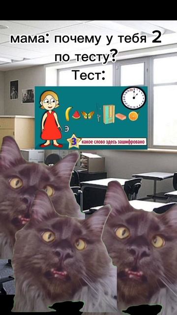 Как вы относитесь к тестам? #мем #жиза #животные #анимация #котики #2024 #мемныекоты #глобал смотреть онлайн