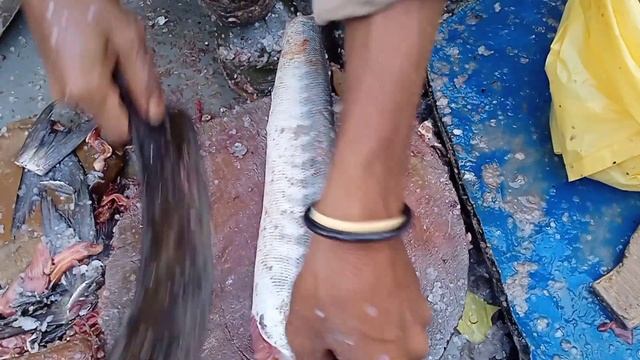 30 kg Fresh Barracuda fish purchasing for subscribers.