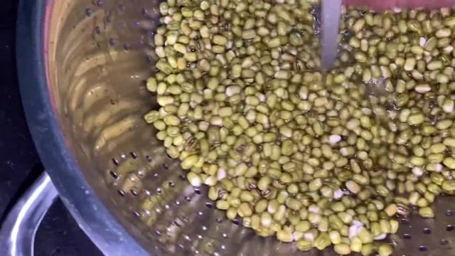 How To SPROUT MOONG (MUNG) BEANS At Home Using Paper Towel - EASY Method