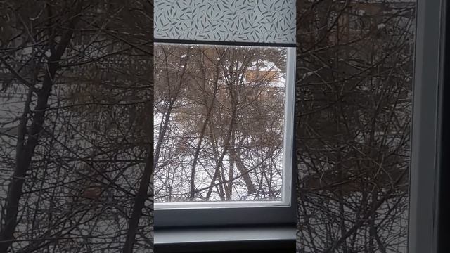 Пёстрая синица смотреть онлайн