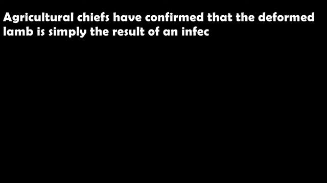 Mutant lamb born with a human-like head; this story will shock you смотреть онлайн