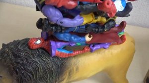 Avengers Marvel Heroes Walk into Takilong Box in a row Animal Lion