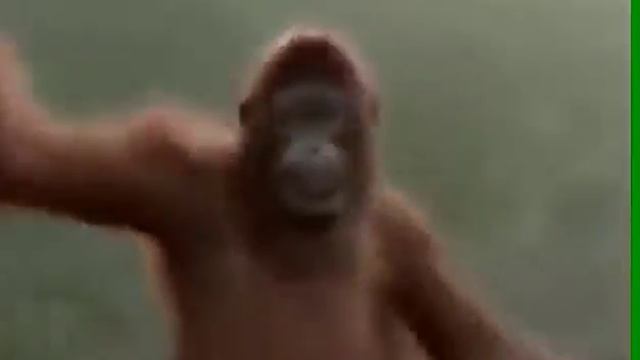 Танцующая обезьяна смотреть онлайн