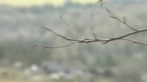 Фильм про старообрядцев №2