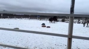 Возвращаемся!