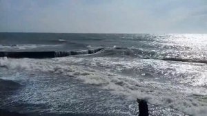 Золотоискатели на пляже в Сочи.