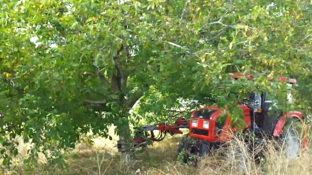 Трусим орехи смотреть онлайн