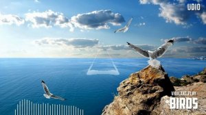 Vigilant PLAY - Птицы - TRANCE