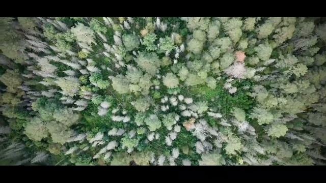 Красноярск, мы в эфире! Клип ко Дню города (396 лет)