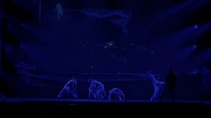 20250111-Антигравитация (ч.1).mp4