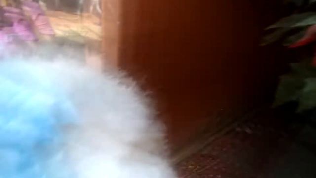 Mari y Sofi juegan con la foquita. смотреть онлайн