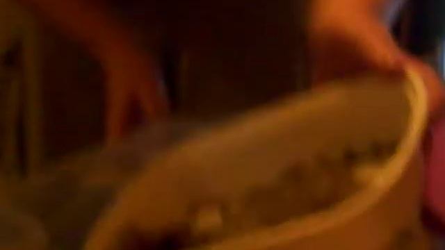 Brachypelma klaasi and G. rosea rehousing смотреть онлайн